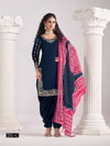 Aanaya Vol 231 By Dani Creation Designer Chanderi Silk Salwar Suit Exporters In India